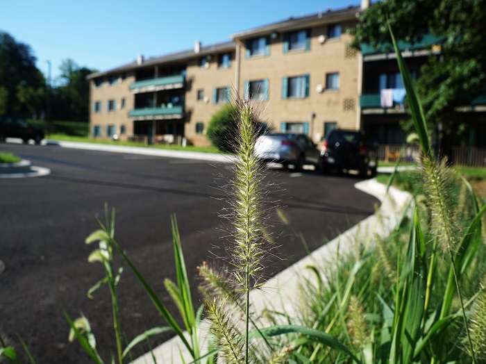 Maple Ridge Apartments